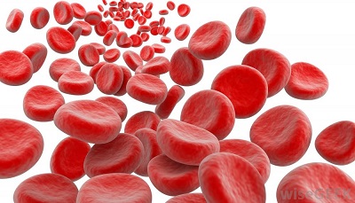 2018 Blood and Marrow Stem Cell Tumor Board Banner